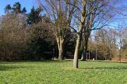 dog park in New York