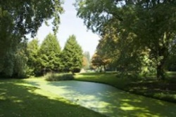 dog park in new york