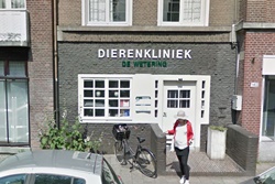 Pet Friendly Veterinarian in Amsterdam, vets in Amsterdam