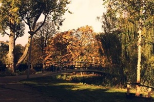  dog park in new york