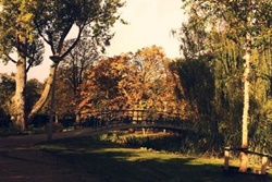  dog park in new york