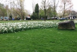 dog park in new york