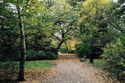 dog park in new york