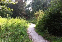 dog park in new york