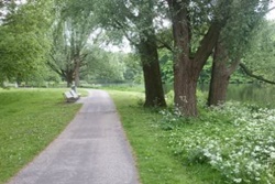 dog park in new york