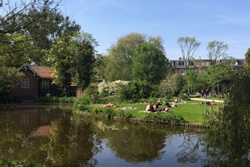 dog park in new york