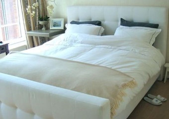 Unique High End Canal House, pet friendly vacation rental in amsterdam, dogs allowed amsterdam vacation rental