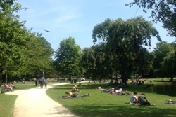 dog park in new york