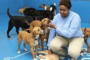 doggy daycare in new york