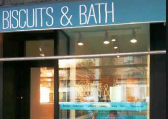 pet day care manhattan