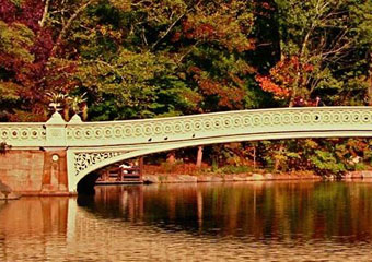 central park carriage ride