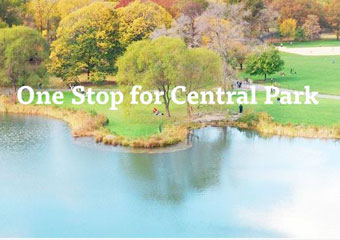 central park carriage ride