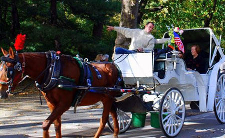 central park horse carriage rides