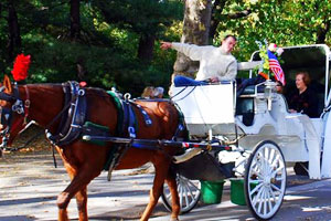 fun in new york - central park carriage rides