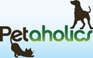 Pet friendly day care in new york