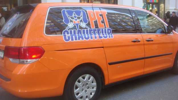 pet chauffeur in new york